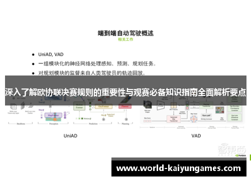 深入了解欧协联决赛规则的重要性与观赛必备知识指南全面解析要点